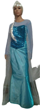 Load image into Gallery viewer, Princess Elsa Costume 1