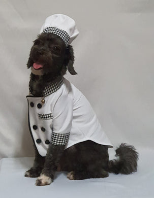 Chef Dog and Cat Costume