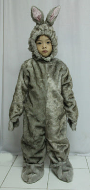 Rabbit Costume 1, 6yo - 7yo