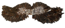 Load image into Gallery viewer, Extra Large Brown Wing with white accent