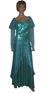 Princess Ariel Costume