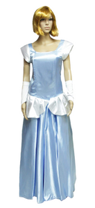 Princess Cinderella Costume 2