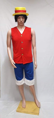 Monkey D. Luffy / Straw Hat Luffy Costume