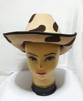 Cowboy / Cowgirl Hat