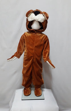 Lion costume for kids