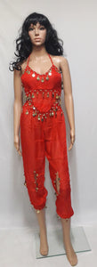 India Bollywood / Belly Dancer Costume (Adult)