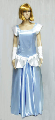 Princess Cinderella Costume 2