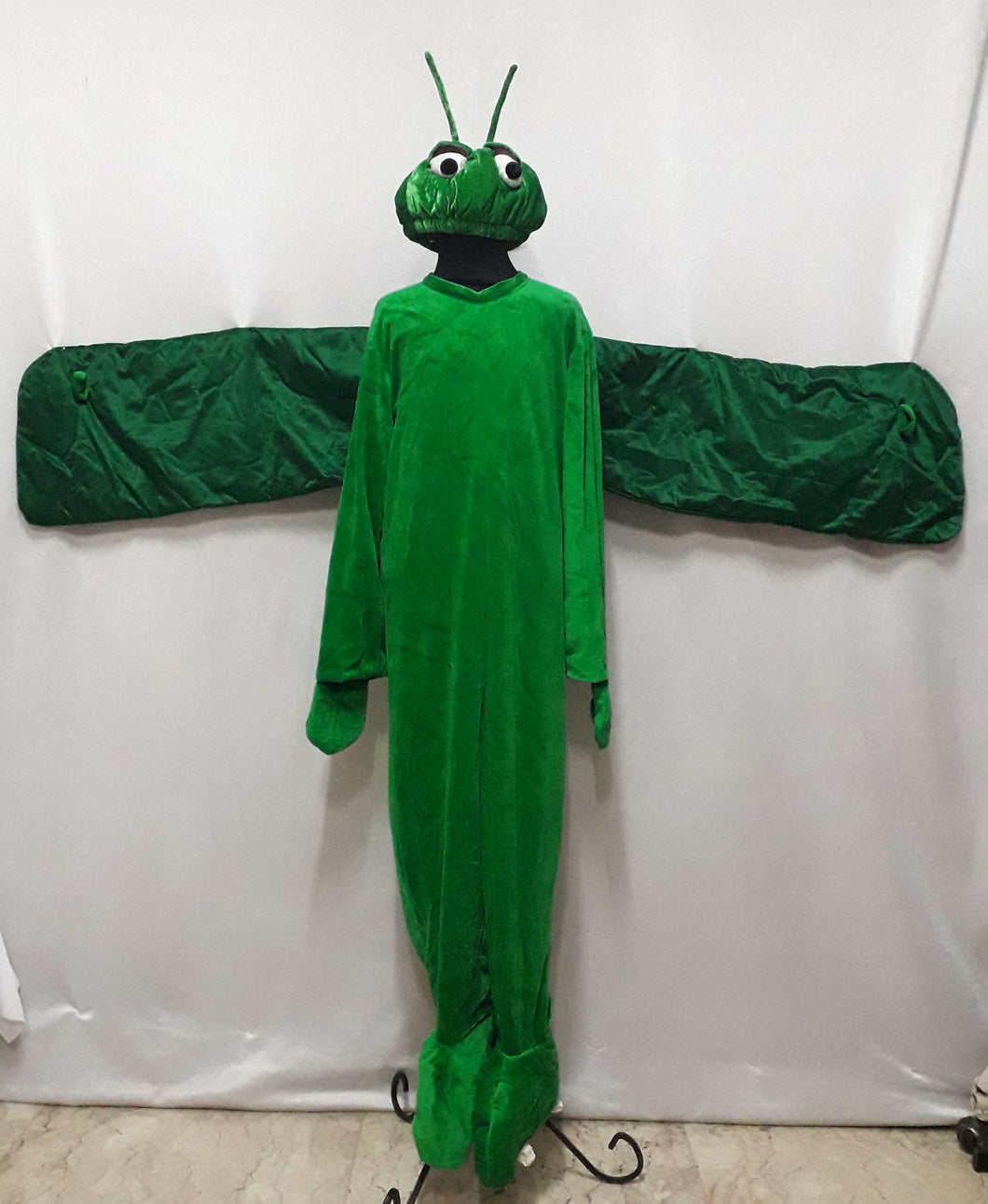 Dragonfly, Grasshopper Costume (7-8yo)