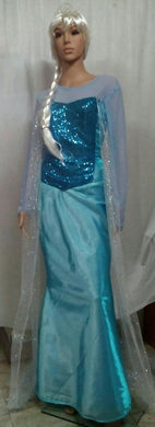 Princess Elsa Costume 1