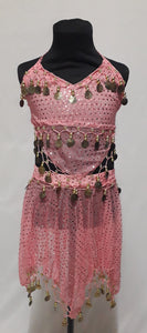 India/Belly Dancer Costume