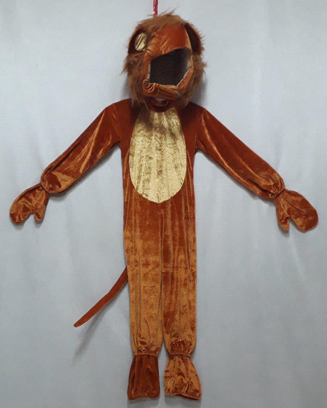 Lion Costume for Kids (4-5yo)