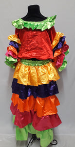Mexican/South America Costume