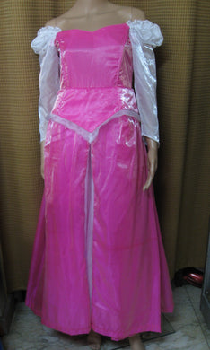 Princess Aurora Costume