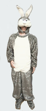 Rabbit Costume 2