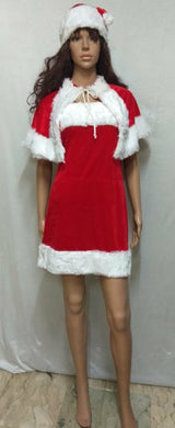 Santa Claus Lady Costume