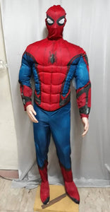 Superhero SM Costume 2
