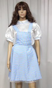 Dorothy Costume