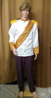 Prince Charming Costume